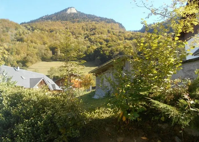 Duplex 3 Pieces Avec Balcon, Parking Et Proximite Telecabine A - Fr-1-401-50 * Cauterets