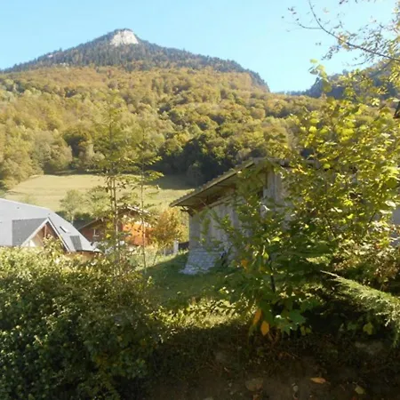 Duplex 3 Pieces Avec Balcon, Parking Et Proximite Telecabine A - Fr-1-401-50 * Cauterets