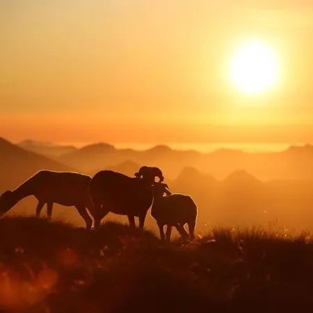 Апартаменты Duplex 3 Pieces Avec Balcon, Parking Et Proximite Telecabine A - Fr-1-401-50 *