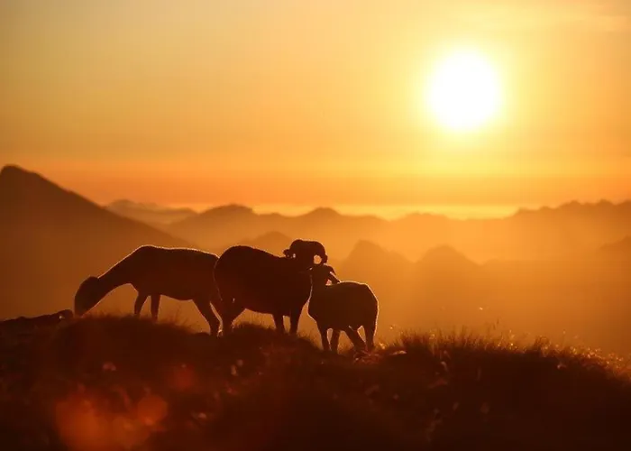 شقة Duplex 3 Pieces Avec Balcon, Parking Et Proximite Telecabine A - Fr-1-401-50 *